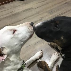 Meet your Posher, Leanne